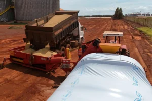 pacifil-rentabilidade-agrícola
