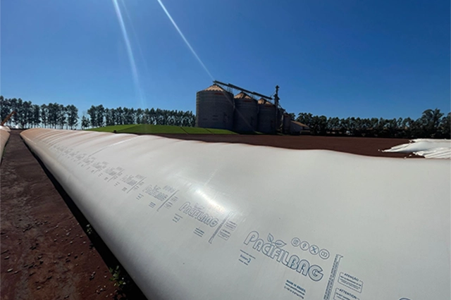 supersafra-2025-e-os-silos-bolsa-pacifil