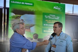 pacifil-silos-bolsa-e-silos-tradicionais