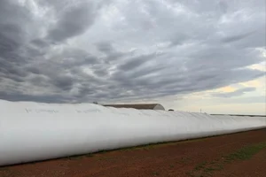 pacifil-safra-de-verão