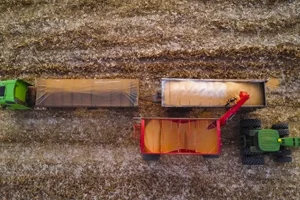 pacifil-curiosidades-do-agronegocio