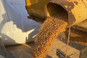 pacifil-armazenamento-seguro