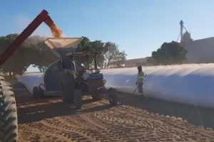 armazenamento-de-graos-secos-na-propriedade-pacifil-brasil